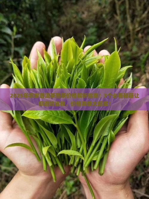 农家普洱茶熟茶价格
