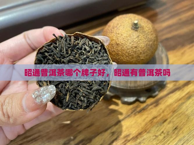 昭通普洱茶哪个牌子好