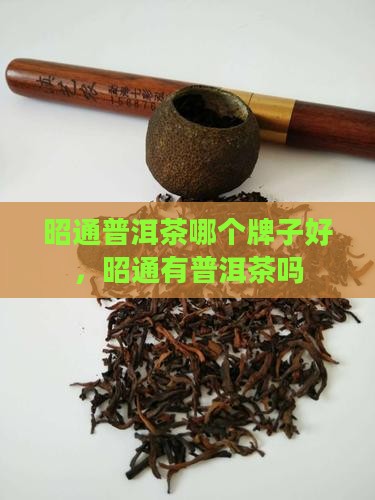 昭通普洱茶哪个牌子好