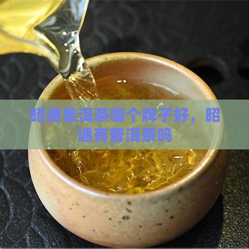 昭通普洱茶哪个牌子好