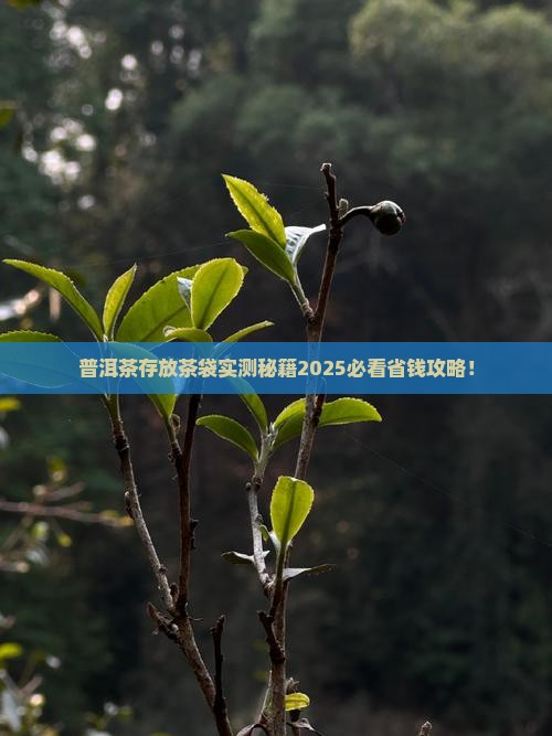 普洱茶存放茶袋