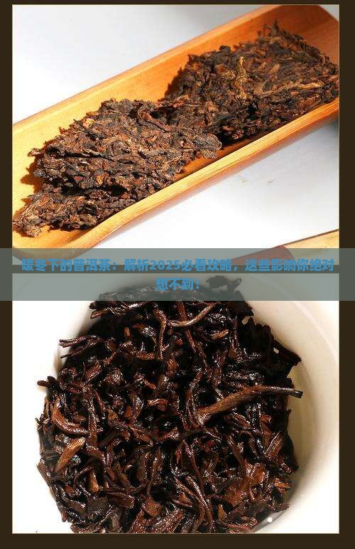 暖冬对普洱茶的影响