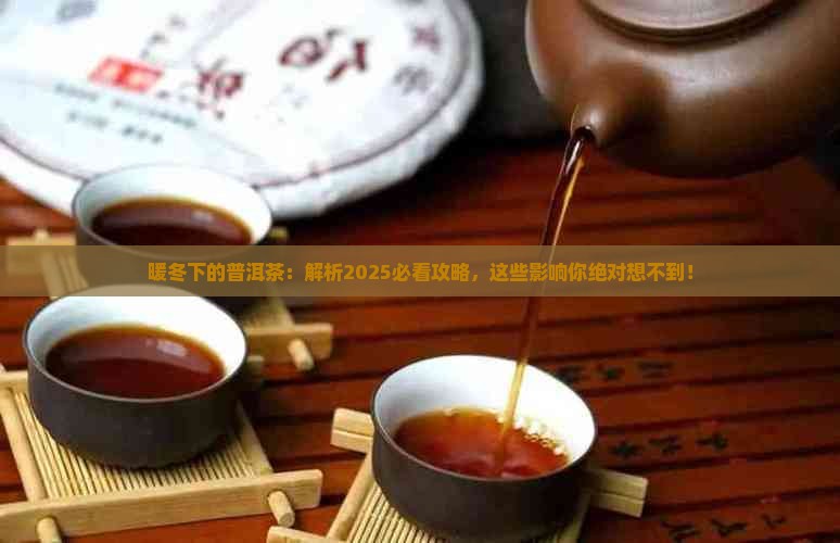 暖冬对普洱茶的影响