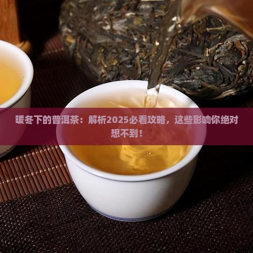 暖冬对普洱茶的影响