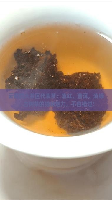 云南四大茶区代表茶