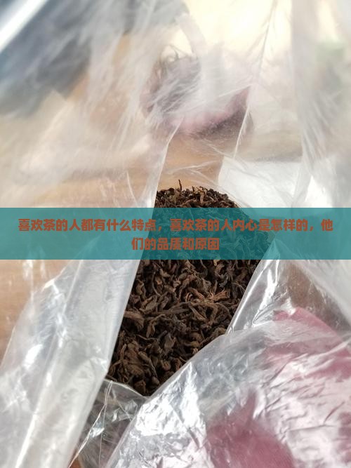 喜欢茶的人都有什么特点