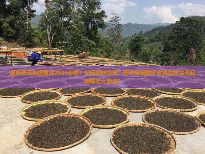 昌泰普洱茶恒昌源
