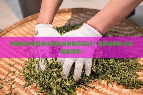 熊猫班章普洱茶珍藏版