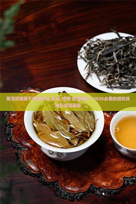普洱邦崴属于普洱茶吗
