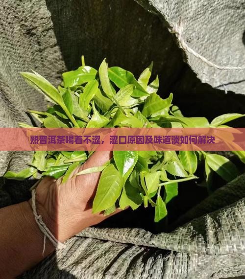 熟普洱茶喝着不涩