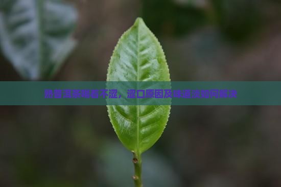 熟普洱茶喝着不涩