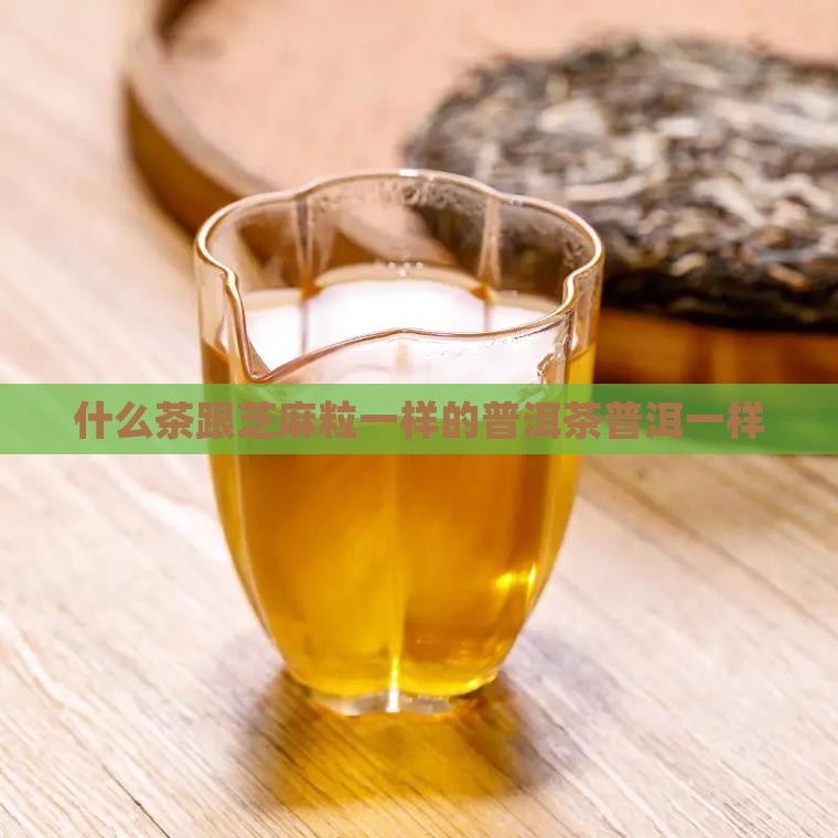 跟芝麻粒一样的茶是什么茶