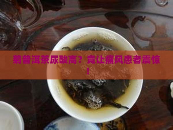 菊普洱茶尿酸高