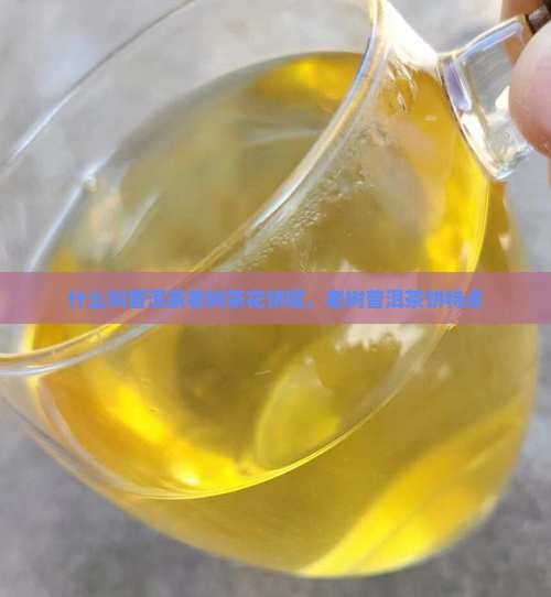 什么叫普洱茶老树茶花饼