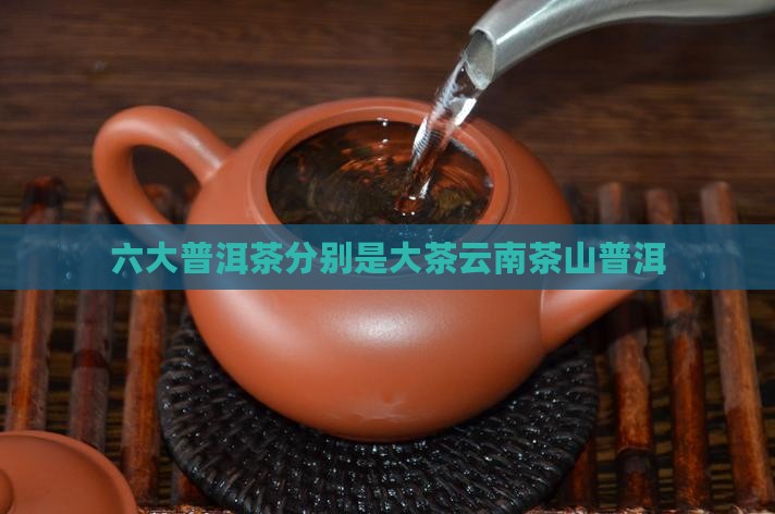 六大普洱茶分别是