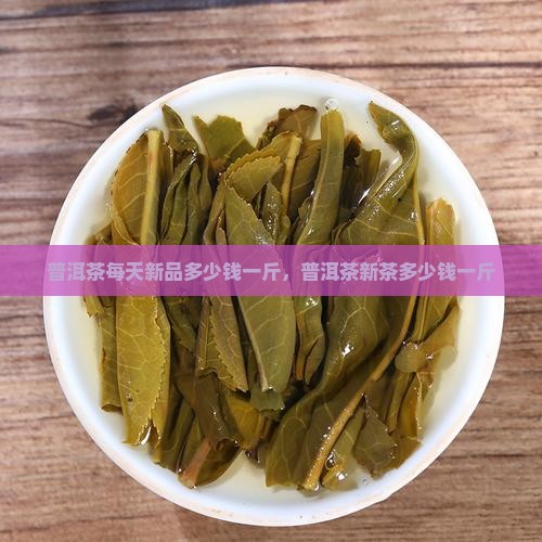 普洱茶每天新品多少钱一斤