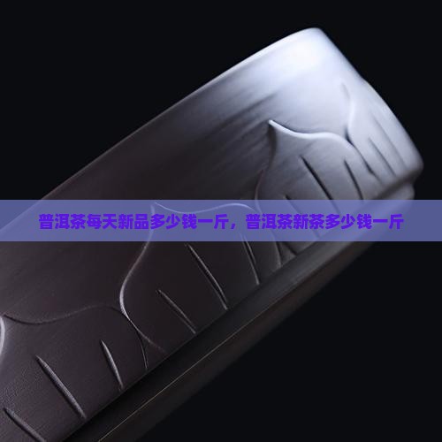 普洱茶每天新品多少钱一斤