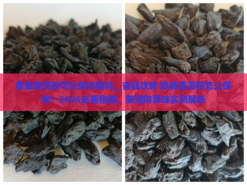 散装普洱茶可以放冰箱吗