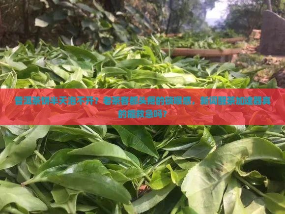 普洱茶饼半天泡不开