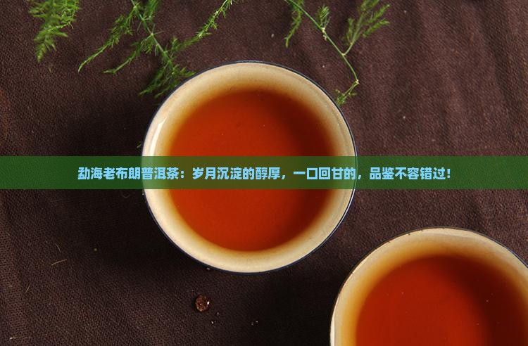勐海老布朗普洱茶