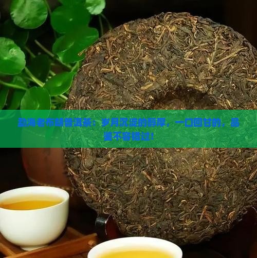 勐海老布朗普洱茶