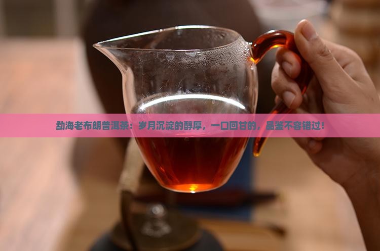 勐海老布朗普洱茶