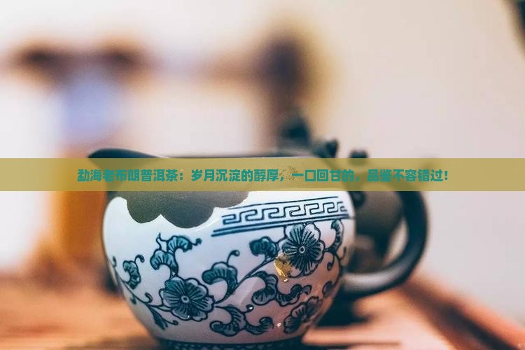 勐海老布朗普洱茶