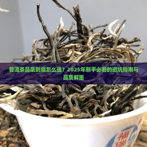 普洱茶品质基本要求是什么