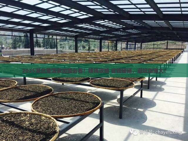 湖北普洱茶招商加盟官网
