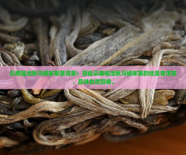 云南临沧耿马杨家寨普洱茶
