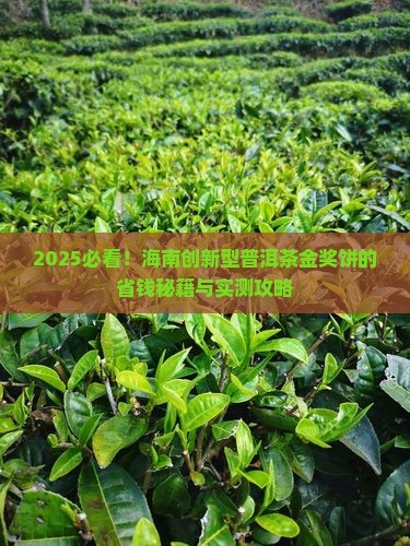 海南创新型的普洱茶金奖饼