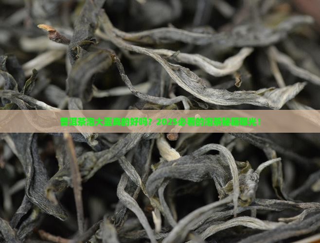 普洱茶泡大壶好不好
