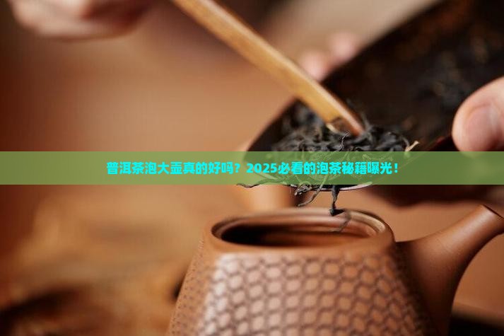 普洱茶泡大壶好不好