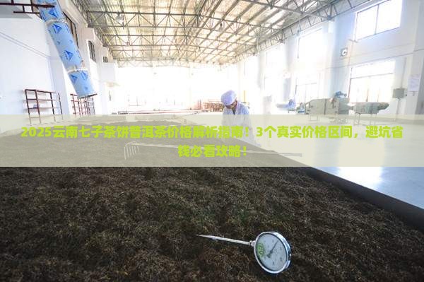 云南七子茶饼普洱茶的价格