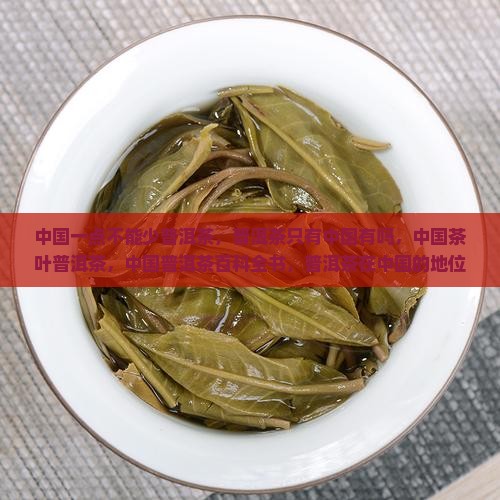 中国一点不能少普洱茶