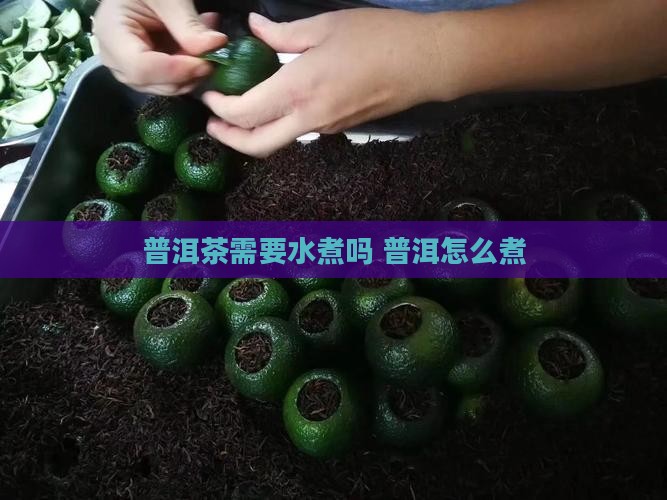 普洱茶需要水煮吗怎么煮