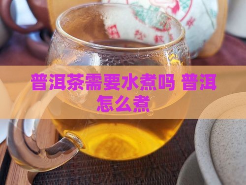 普洱茶需要水煮吗怎么煮