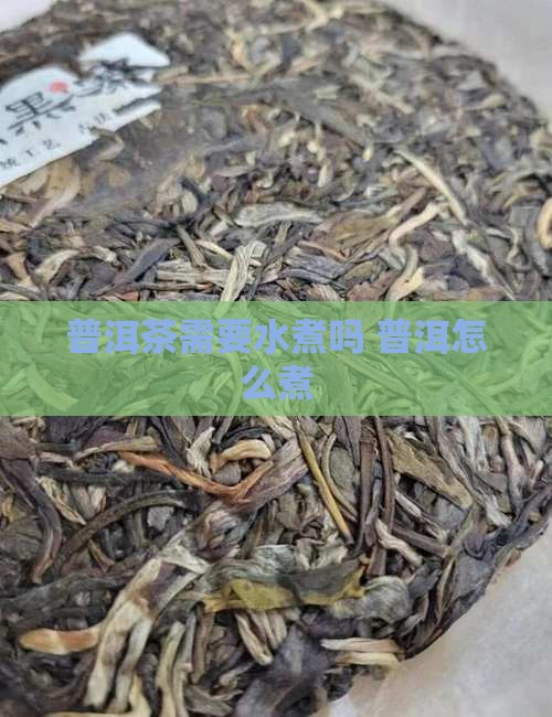 普洱茶需要水煮吗怎么煮
