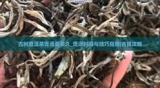 古树普洱茶煲汤要多久