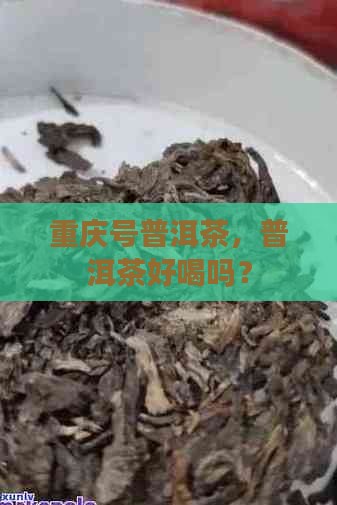 重庆号普洱茶好喝吗