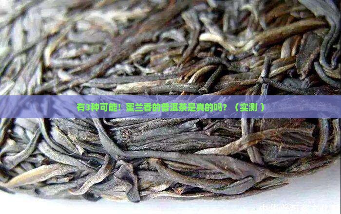 有蜜兰香的普洱茶吗是真的吗