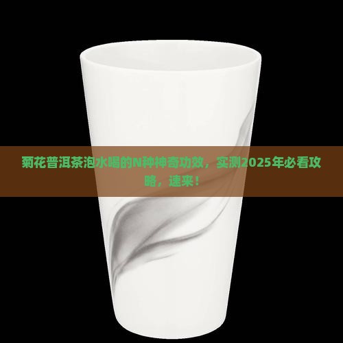 菊花普洱茶泡水喝的功效