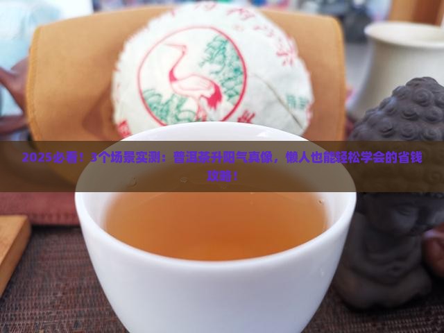 普洱茶有升阳气的功效