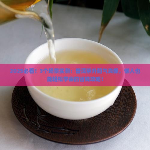 普洱茶有升阳气的功效