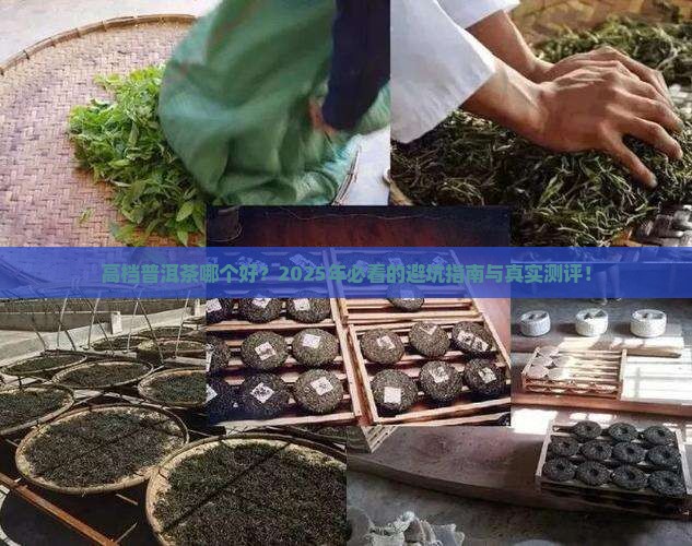 高档普洱茶哪个品牌好