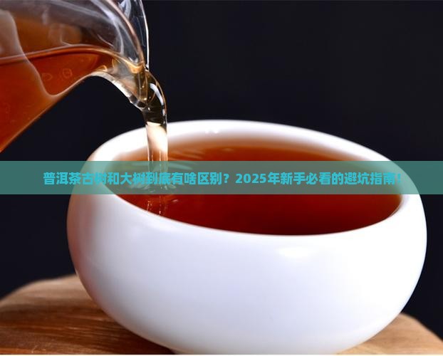 普洱茶古树跟大树区别 普洱茶古树跟大树区别