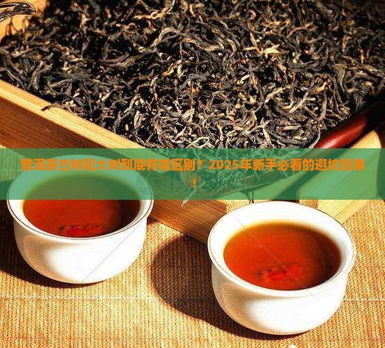 普洱茶古树跟大树区别 普洱茶古树跟大树区别