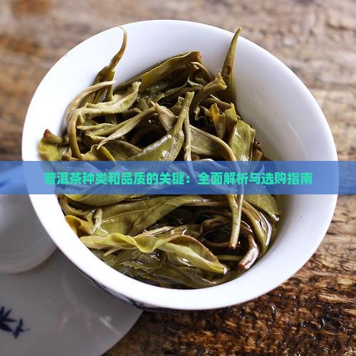 普洱茶种类和品质的关键 普洱茶种类和品质的关键