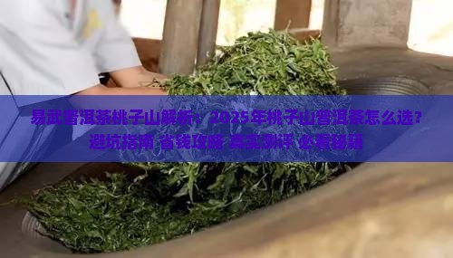 易武普洱茶桃子山