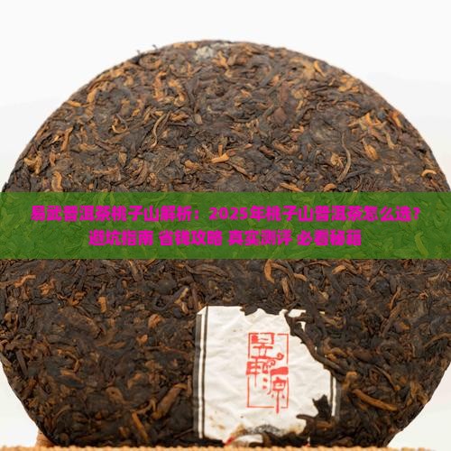 易武普洱茶桃子山
